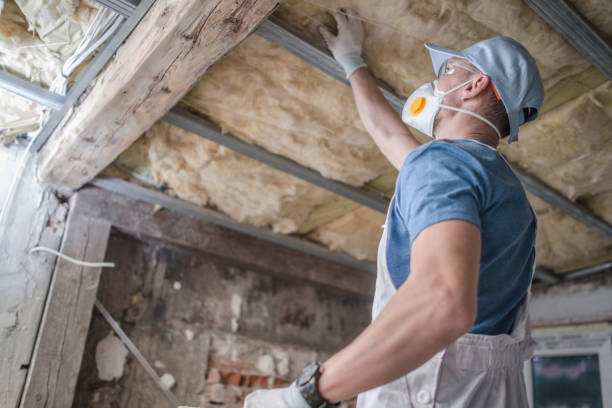 Best Types of Insulation in Auburn, KY